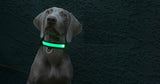 Buy 1 Get 1! - Safety Glowing Dog Collars and Leashes By Pet Lovers Club