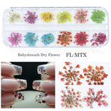3D Dried Flower Theme | Nail Art Decals