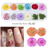 3D Dried Flower Theme | Nail Art Decals